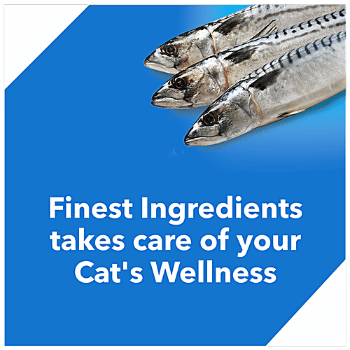 Drools Cat Food - Ocean Fish, Adult, 100 g  Complete Nutrition