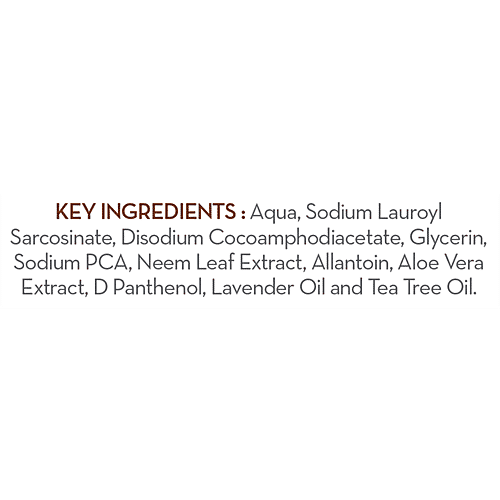 Mamaearth Tea Tree Face Wash, 100 ml  