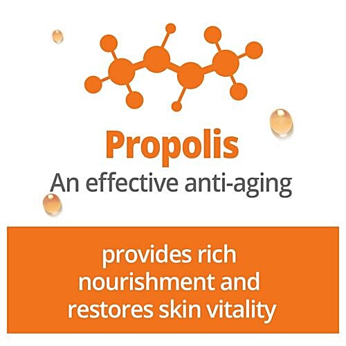 The Face Shop The Solution Nourishing Face Mask, 20 g  