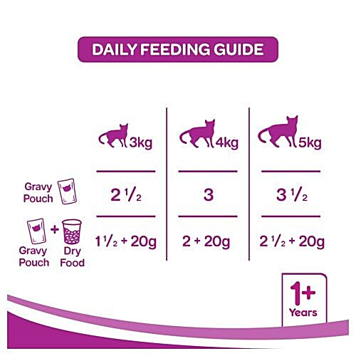 Whiskas Adult Wet Cat Food - Salmon In Gravy, Super Saver Pack, 1+ Year, 85 g (Pack of 48) 