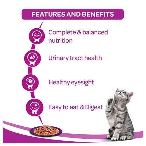 Whiskas Adult Wet Cat Food - Chicken In Gravy, Super Saver Pack, 1+ Year, 85 g (Pack Of 48) Complete & Balanced Meal