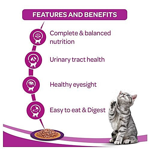 Whiskas Adult Wet Cat Food - Super Saver Pack, 1+ Year, Ocean Fish, 85 g Pack of 24 