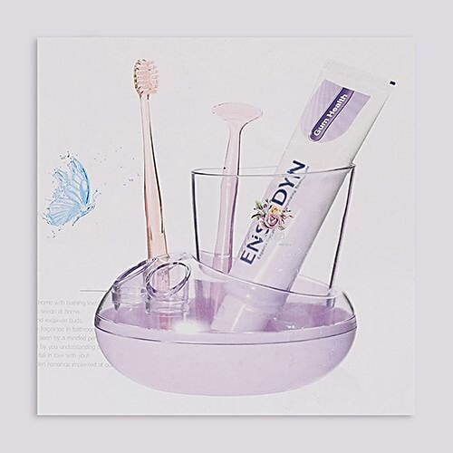 Rose Garden Bathroom Accessories/Organiser/Toothpaste, Tooth Brush Holder - Plastic, Blue, Bb-613, 3 pcs  