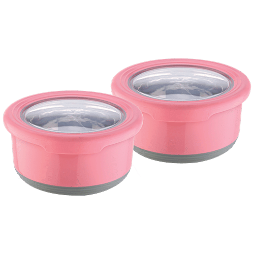 Joyo Steel Fusion Food Storage Stainless Steel Container - Assorted, 725 ml (Set of 2) Airtight & Leak Proof Performance