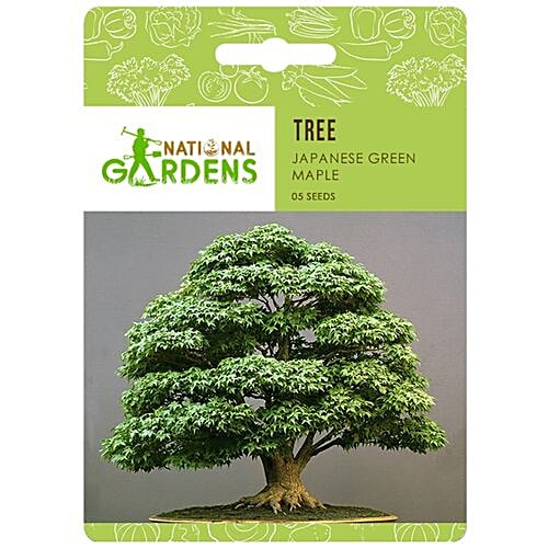 National Gardens Japanese Green Maple Bonsai Seeds, 05 Seeds  Highest Quality, Hand - Picked