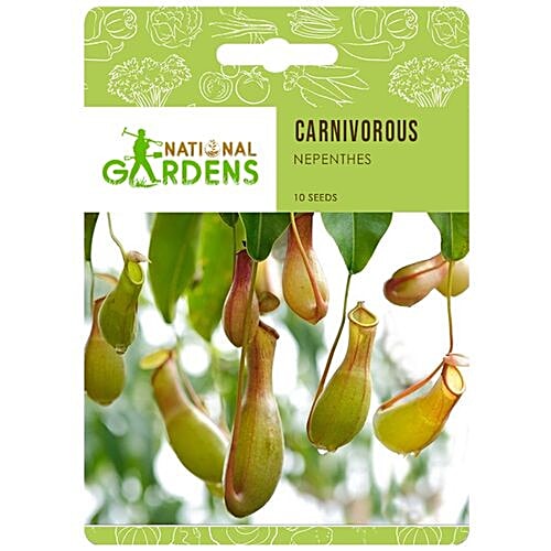 National Gardens Nepenthes - Pitcher Plant Seeds, 10 Seeds  Highest Quality, Hand - Picked