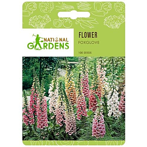 National Gardens Foxglove Flower Seeds, 100 Seeds  Highest Quality, Hand - Picked
