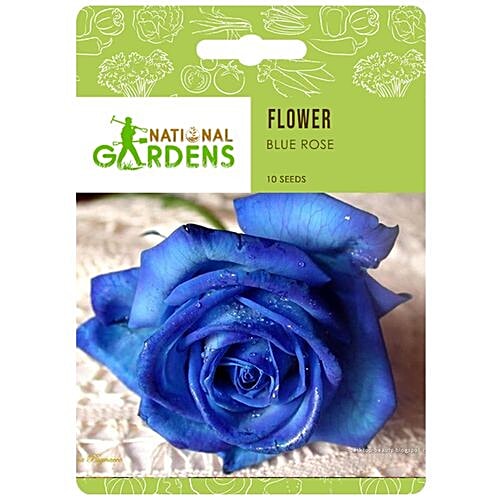 Buy National Gardens Blue Rose Flower Seeds Online at Best Price of Rs 199 bigbasket