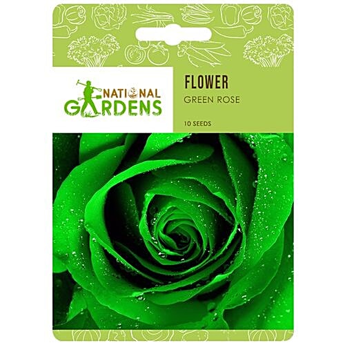 Buy National Gardens Green Rose Flower Seeds Online at Best Price of Rs