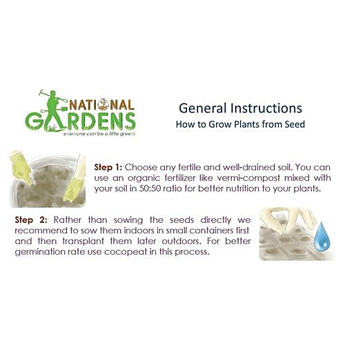 National Gardens Cranberry Fruit Seeds, 10 Seeds  Highest Quality, Hand - Picked