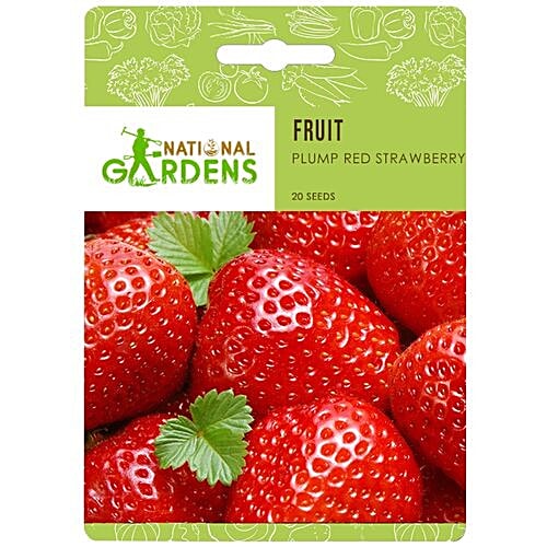 National Gardens Plump Red Strawberry Seeds, 20 pcs  Highest Quality, Hand - Picked
