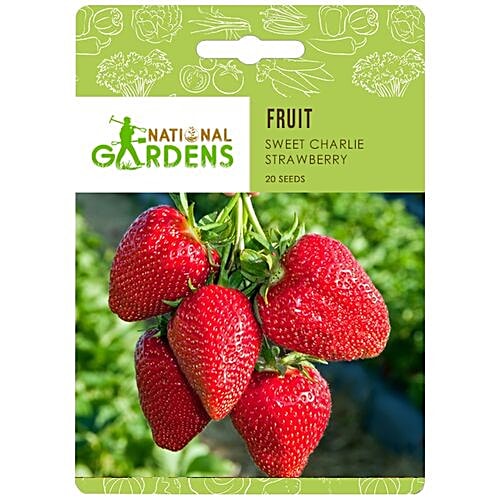 National Gardens Sweet Charlie Strawberry Seeds, 20 Seeds  Highest Quality, Hand - Picked