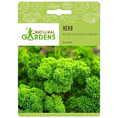 National Gardens Moss Curled Parsley Herb Seeds, 50 Seeds  
