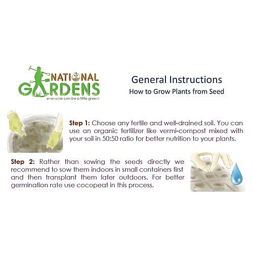 National Gardens Indian Spinach Seeds, 1000 Seeds  