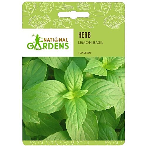 National Gardens Lemon Basil Herb Seeds, 100 Seeds  