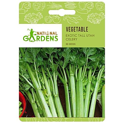 Buy National Gardens Exotic Tall Utah Celery Seeds Online at Best Price of Rs 129 bigbasket