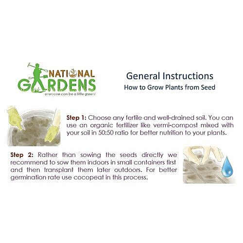 National Gardens White Radish Seeds, 100 Seeds  