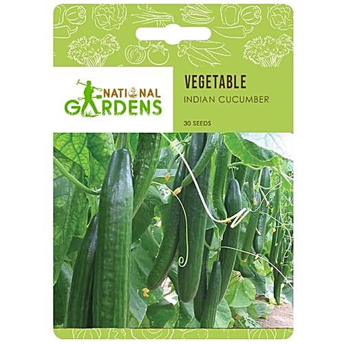 National Gardens Indian Cucumber Seeds, 30 Seeds  