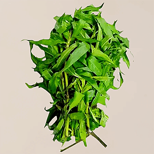 fresho! Hygrophila Spinosa - Kulekhara, 1 kg  Nutrient-Dense