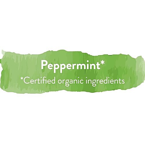 Teamonk Peppermint Herbal Infusion, 50 g (25 Bags x 2 g each) 