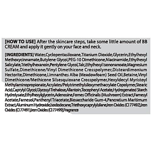 Dermal Yeppen Perfect BB Cream - For Men, 10 g  