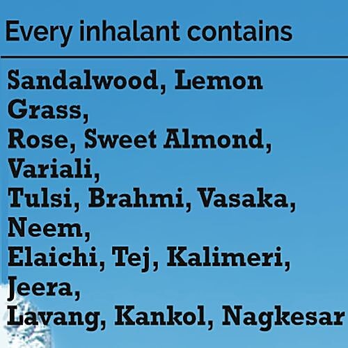 Dr. Vaidya's Sung-Ho - Herbal Inhalant, 30 g Pack of 3 