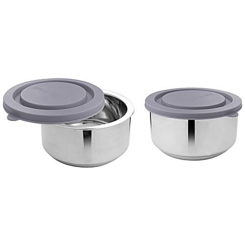 Vinayak Stainless Steel Storage/Lunch Food Container, 2 pcs  