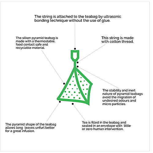 Teabox Detox Kahwa Green Tea - Natural Body Cleanse & Cold Relief, Antioxidants Rich, 54 g (25+2 Free Pyramid Bags x 2 g each) 