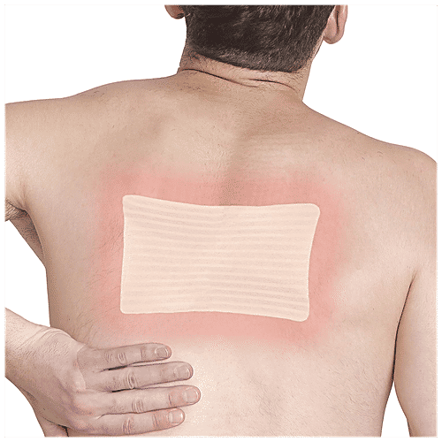 Buy VioPatch Back Pain Herbal Back Pain Relief Patch, XL Online at Best Price of Rs 500
