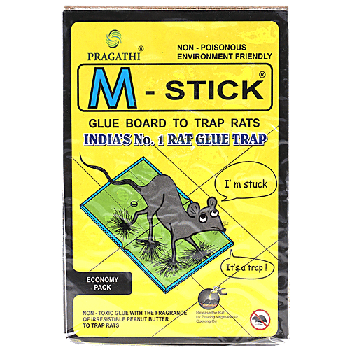 Buy M Stick Glue Board To Trap Rats Small Online at Best Price of Rs