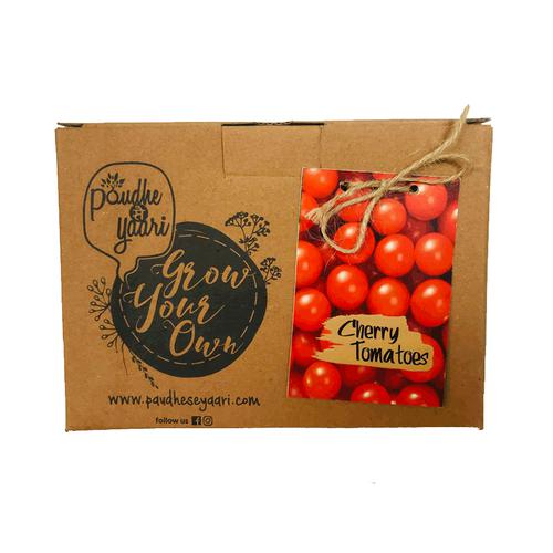 Paudhe Se Yaari Grow Your Own Cherry Tomatos Seeds Kit, 950 g  100% Organic Material