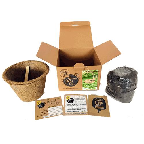 Paudhe Se Yaari Grow Your Own Lemon Grass Seeds Kit, 950 g  100% Organic Material