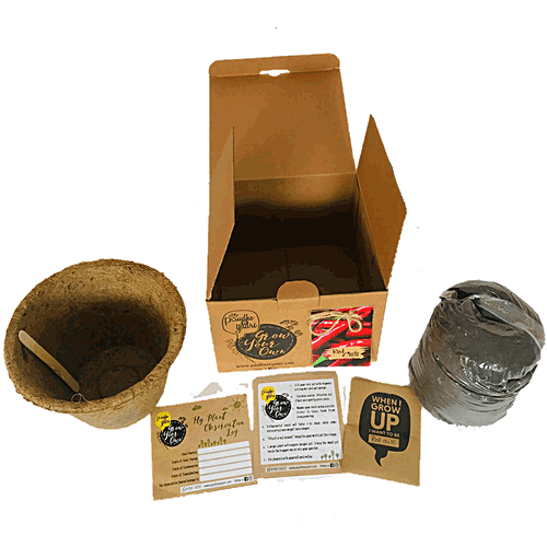 Paudhe Se Yaari Grow Your Own Red Chillis Seeds Kit, 950 g  