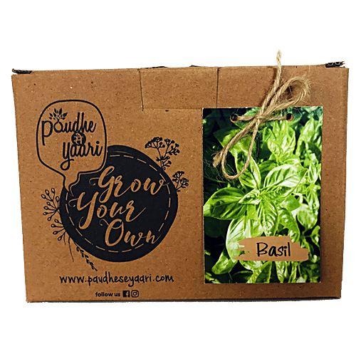Paudhe Se Yaari Grow Your Own Basil Seeds Kit, 950 g  100% Organic Material