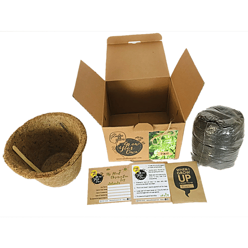 Paudhe Se Yaari Grow Your Own Basil Seeds Kit, 950 g  100% Organic Material