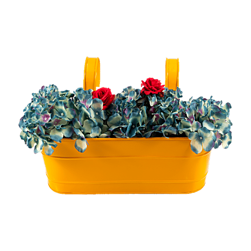 Klassic Rover Oval Shape Railing Planter - Yellow, Large, 1 pc High Quality