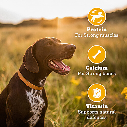 Pedigree Biscrok Biscuits Above 4 Months Dog Treats With Chicken, 900 g  Source of Calcium, Goodness of 15% Protein