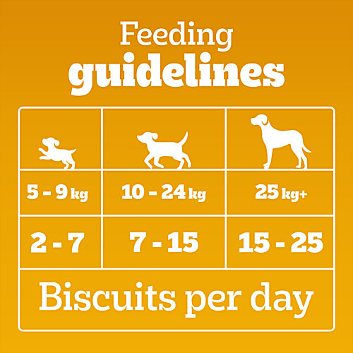 Pedigree Biscrok Biscuits (Above 4 Months) Dog Treats, Chicken with Milk Flavour, 900 g, Source of Calcium, Goodness of 15% Protein, 900 g Source of Calcium, Goodness of Protein