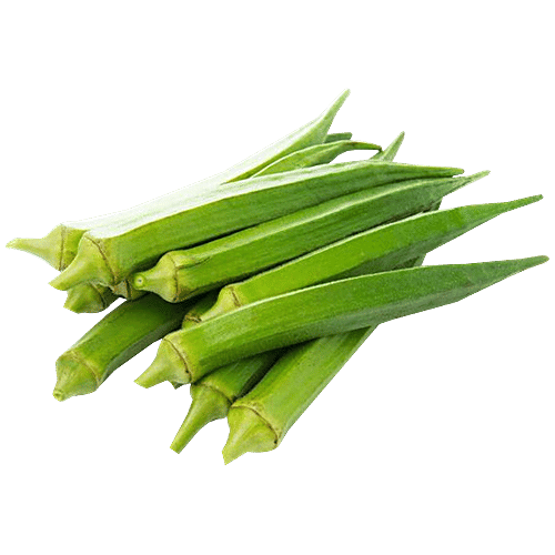 Buy Wonderland Okra, Ladyfinger Bhindi Vegetable Gardening Seeds 50