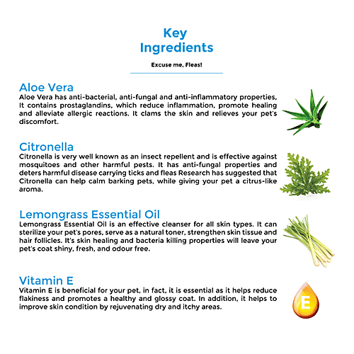 Captain Zack Excuse Me, Fleas! Anti-Tick & Flea Dog Shampoo, 4 L  