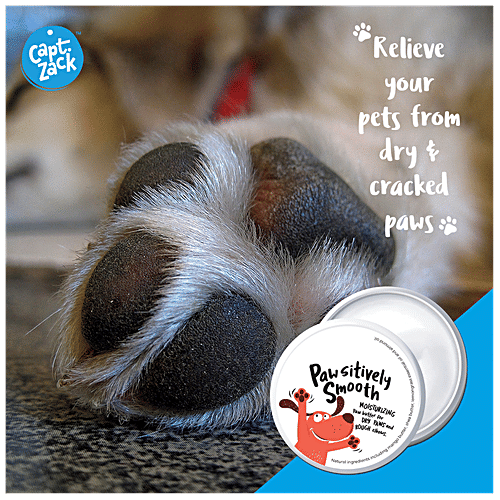 Captain Zack Paw'sitively Smooth Paw Butter For Dogs, 100 g  