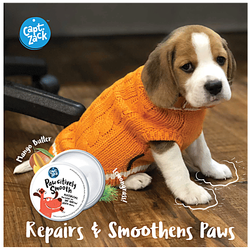 Captain Zack Paw'sitively Smooth Paw Butter For Dogs, 100 g  