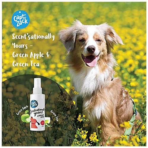 Captain Zack Scent'sationally Yours Free Cologne, 100 ml  