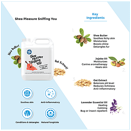 Buy Captain Zack Shea Pleasure Sniffing You AntiFungal Free Dog