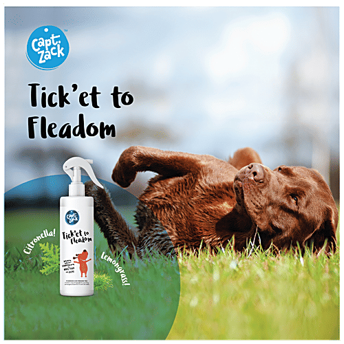 Buy Captain Zack Tick'et To Fleadom Dry Shampoo For Dogs Online at Best