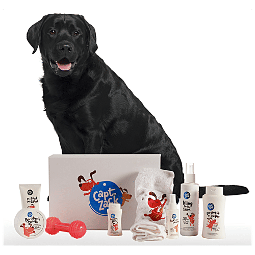 Captain Zack The Labrador Groom Box, 7 pcs  