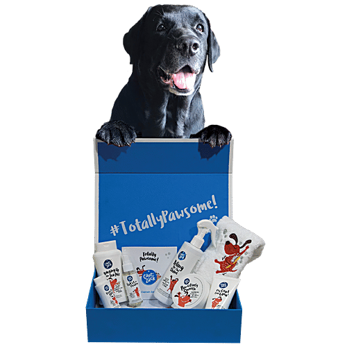 Captain Zack The Labrador Groom Box, 7 pcs  