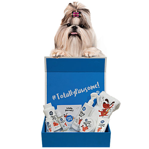 Captain Zack The Shih Tzu Groom Box, 7 pcs  