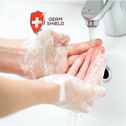 Santoor Classic Sandalwood & Tulsi Gentle Hand Wash, 1.3 L