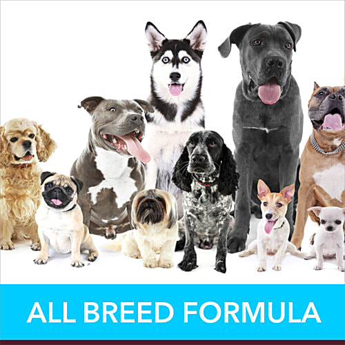 Buy Meat Up Animal Feed Supplements Chicken Gravy, For Healthy Skin